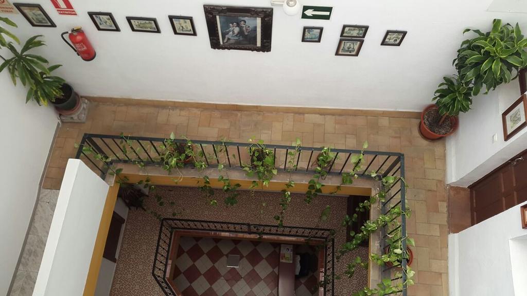 Hostal El Rincon De Carlota Севиля Екстериор снимка