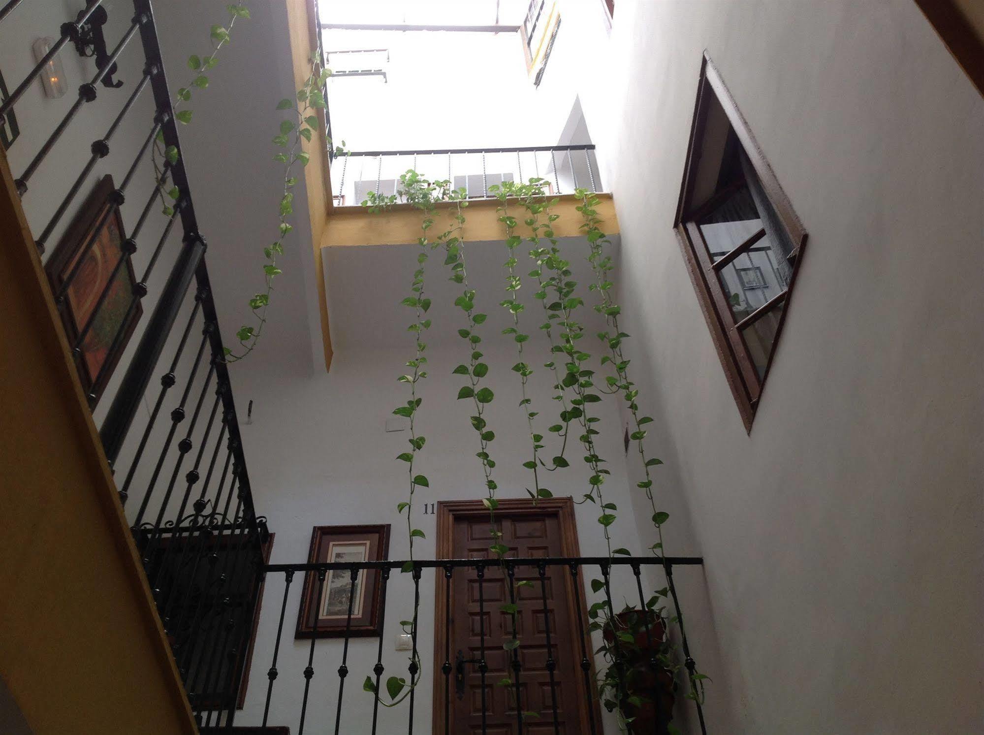 Hostal El Rincon De Carlota Севиля Екстериор снимка